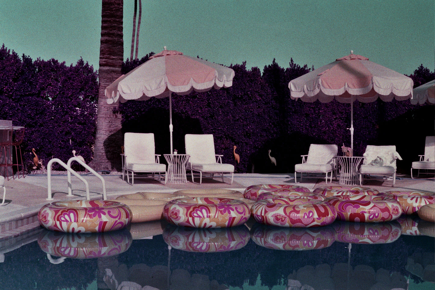 trixie's pool