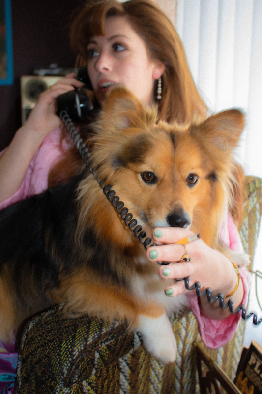 gossip pup